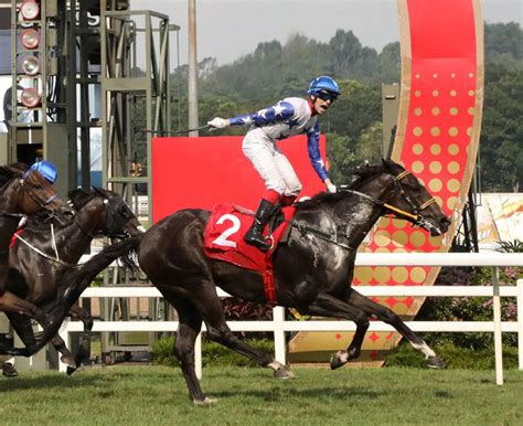 singapore pool race card|singapore horse racing card.